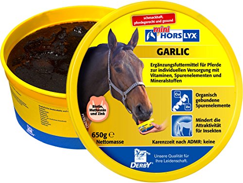 Horslyx Garlic, 650 g von Horslyx