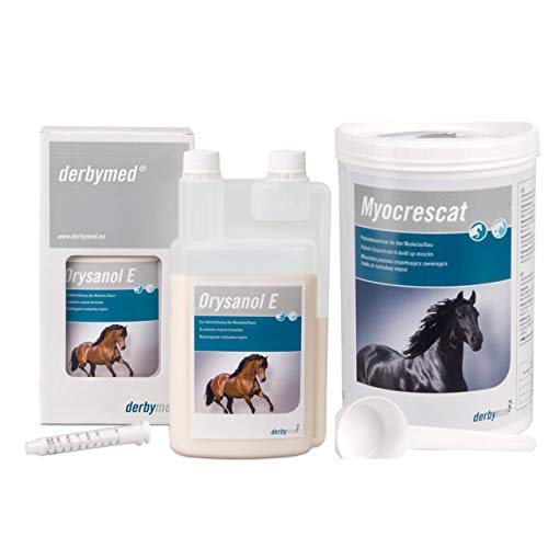 Derbymed Bundle für den professionellen Muskelaufbau bei Pferden | 1x1 L Orysanol E + 1x1,3 kg Myocrescat von Derbymed