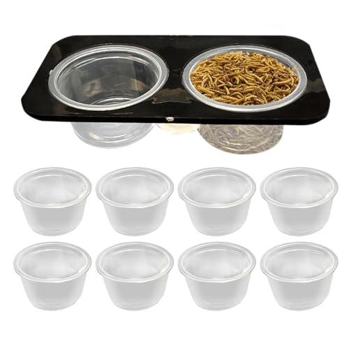 Derwrtup Echsenwasserschale, Reptilien -Fütterungsschale,Crested Food Feeder Reptile Water Bowl - Platz sparende Tankzubehör abnehmbares Fütterungsgericht für Cage & Gecko von Derwrtup