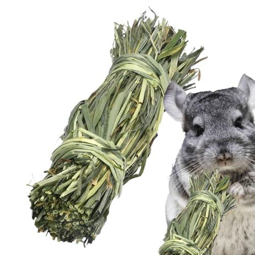 Derwrtup Grasball - Kaninchen-Kauball - Grasbälle Chinchillas - Lieschgras Heu - Kaninchen Zubehör Für MeerschweinchenHase Chinchilla Hamster Rennmäuse von Derwrtup