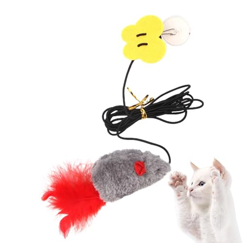 Derwrtup Hängendes Türkatzenspielzeug | Kitten Toys Lustiges Türbehang Hüpfendes Mausspielzeug - Schaukelspielzeug mit Feder und hüpfender Maus, versenkbare Tür, Katzenspielzeug für Hunde von Derwrtup