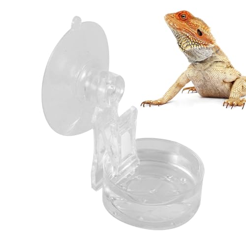Reptilfutter Wassernapf - Reptile Feeder - Reptilien Wasserschale + Feeder Mit Saugnapf | Für Leguan Gecko Reptilien Ledge Zubehör Reptilfutter Wassernapf - Reptile Feeder - Reptilien Wasserschale + Feeder Mit Saugnapf | Für Leguan Gecko Reptilien Ledge Zubehör von Derwrtup