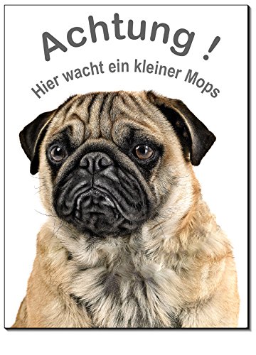 Desi-Schilder Mops-Hund-Aluminium-Schild-3 Größen-Türschild-Warnschild-Hundeschild (1451-35=300 x 200 2 mm mit 2 Löcher) von Desi-Schilder