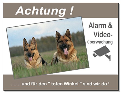 Desi-Schilder Schäferhund-Hund-Aluminium Schild-Video-Alarm-15x10-20x15-30x20 cm-Türschild-Warnschild-Hundeschild (200 x 150 x 2 mm=1450-71, Alu. mit Löcher) von Desi-Schilder