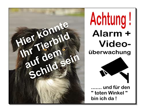 Mit Eigenbild-Hund-Hundeschild-30 x 20 cm-Warnwschild-Hinweisschild-Tierschild 86 (300 x 200 x 3 mm, mit Eigenbild od. Text-mit Klebepads-Bild mailen) (300 x 200 x 3 mm Hintergrund Silber) von Desi-Schilder