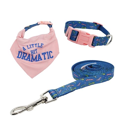 design LAB, Inc. Offizielles Mean Girls Merchandise-Produkt, Set mit Hundehalsband, Bandana und Leine, Zubehör für Standard- und mittelgroße Hunde von Design LAB Inc.