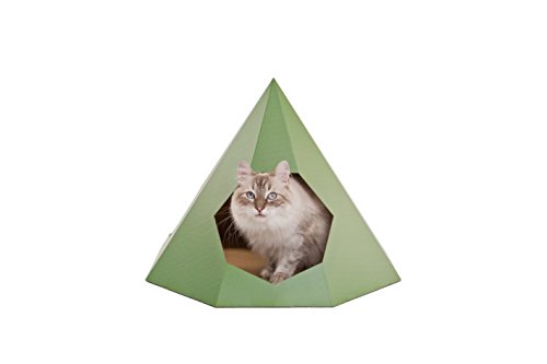 Cat Tipi Green - Design Katzenhöhle aus Hochwertigem, stabilem Karton l 100% natürliches Material l GRATIS DIY Kratzbaum Pad, Traumfänger Spielzeug, Catnip. von Design for pussies