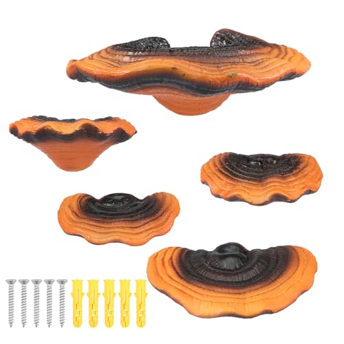 5 Stcs Pilzregale Harz Pilz schwimmende Regale Reishi -Form Pilzregal Wanddekoration Süßes Pilzhängeschelf für Schlafzimmer Cottage Core Corner Wanddekoration Gecko Reptile Tankzubehör Accessoires von Deuson