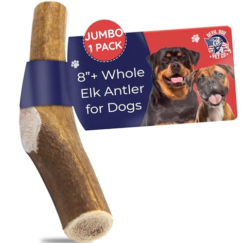 Devil Dog Pet Co Antler Dog Chew - Premium Elk Antlers for Dogs - Long Lasting Dog Bones for Aggressive Chewers - No Mess ... von Devil Dog Pet Co