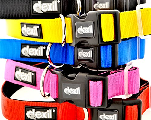 Dexil Neopren-Hundehalsband, gepolstert, extra stark, verstellbar, Größe S-XXL von Dexil