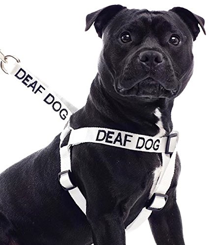 Taub Hund Weiß Farbe Coded L-XL Non-Pull-Hundegeschirr (No / Begrenzte Hearing) verhindert, dass Unfälle, die durch Warn Sonstige Ihren Hund im Voraus! von Dexil