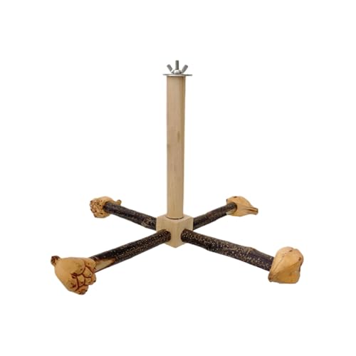 Dfstvup Bird Barch Stand Toy, rotierendes Papagei -Barschspielzeug mit Kauenspielzeug, Vogelperch Vogelspielzeug Chot an Spielzeug, natürlicher Holzbarschständer für kleine und mittlere Vögel von Dfstvup