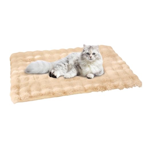 Cat Bed For Indoor Cats, Cat Mat Bed, Cat Pet Plush Bed Mat, Washable Flat Kitten Bed Blanket, Soft Warm Pet Pad Pet Bed Mat Curling Sleep Cat Beds Super Soft Handy To Clean For Pet Cat Medium/Large von Dgayaeic