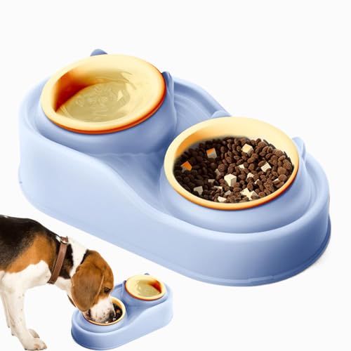 Cat Food Bowls, 400ml Raised Cat Food and Water Bowls, Ceramic Elevated 2-Bowl Feeding Station, Tilted Pet Feeder with 2 Bowls Food Grade Material, Anti Slip None Spill for Cats and Small Dogs von Dgayaeic