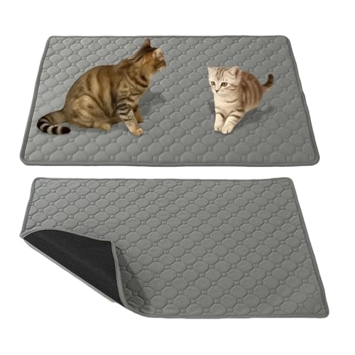 Dgayaeic Haustier PIPI Unterlagen, Wiederverwendbare Hunde Katzen Toilettenmatte, Auslaufsicher 50x60 cm Schutzunterlage Für Urin Von Mittelkleinen Welpen Und Katzen Im Käfig Schlafen Training Dgayaeic Haustier PIPI Unterlagen, Wiederverwendbare Hunde Katzen Toilettenmatte, Auslaufsicher 50x60 cm Schutzunterlage Für Urin Von Mittelkleinen Welpen Und Katzen Im Käfig Schlafen Training von Dgayaeic