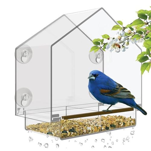 Dgayaeic Vogelhäuschen mit durchsichtigem, Vogelhäuschen mit Sicht| Acryl-Vogelhaus | -Vogelhaus im Freien mit starken Saugnäpfen für Garten, Hof, ältere Kinder von Dgayaeic