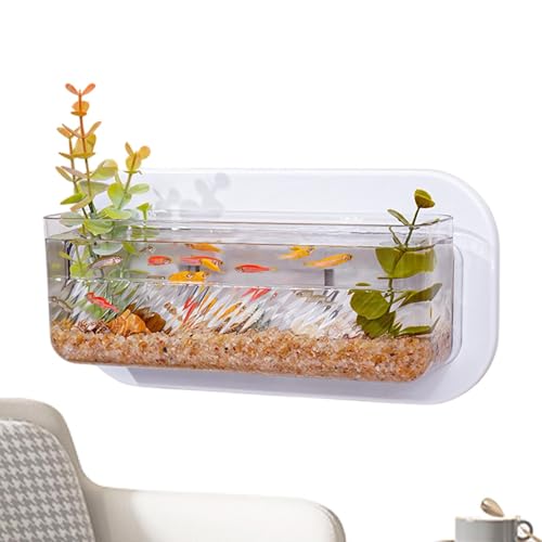 Dgayaeic Wandmontiertes Fischglas, ohne Bohren, Hydrokultur-Pflanzenvase, Aquariumschale für Wohnzimmer, Schlafzimmer, Küche, Wohnung, Schlafsaal von Dgayaeic