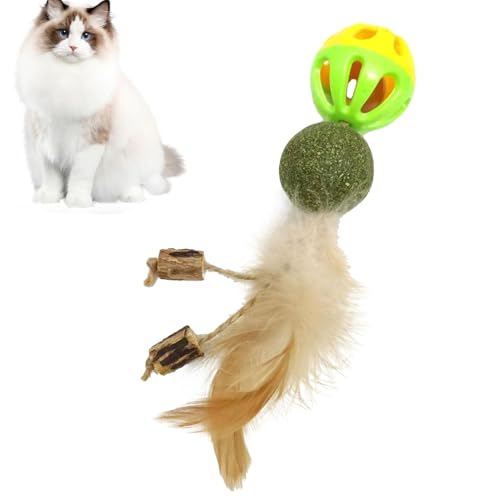 Innenkatze Spielzeug, Katzenfeder Teaser -Spielzeug, Kätzchen -Kau -Trainingskugel, interaktive Spielzeit, Katzenminister -infundiertes Ball, 15 cm, Federn, Sisalseil, Katzenministermaterial für alle von Dgayaeic