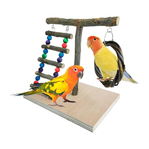 Parrot Playground, Natural Wood Parrot Perch, Bird Playground Parrot Play Stand, Multiple Play Features Budgie Playground Cage Exercise Gym Toys for Parakeets, Cockatiel, Small Birds von Dgayaeic