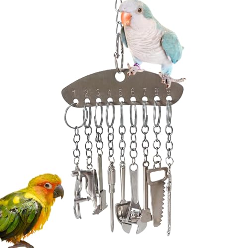 Bird Bell Toy | Metal Swing Bells for Conures and Cage Accessories | Chewing Toys for Budgies, Lovebirds, and Cockatiels | Engaging Play for Small Birds von Dgkdek