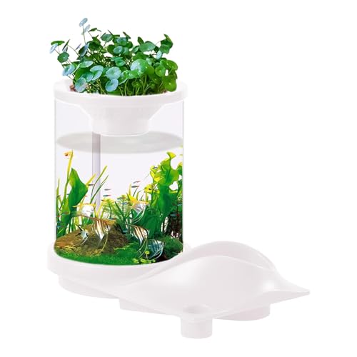 Desktop Betta Fish Tank | Translucent Silent Fish Tank | Self-Sustaining Fish Tank | Aquarium Aquaponic Ecosystem | Silent Aquarium for Home Desktop Ornaments for Aquarium, Workplace, Apartment von Dgkdek