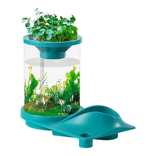 Desktop Betta Fish Tank | Translucent Silent Fish Tank | Self-Sustaining Fish Tank | Aquarium Aquaponic Ecosystem | Silent Aquarium for Home Desktop Ornaments for Aquarium, Workplace, Apartment von Dgkdek