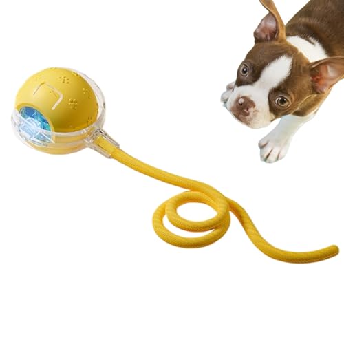 Dgkdek Interaktives Katzenball-Spielzeug, bewegungsaktiviertes Katzenspielzeug, schnelles Rollen auf Teppich, sicher und einfach zu bedienen, kann für lange Zeit verwendet werden, 40 cm, für Katzen von Dgkdek