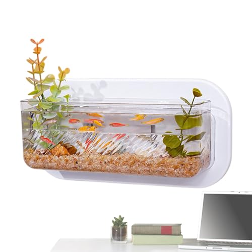 Hängende Fischtankpflanzhalter -Oberseite, montierte Blumenvase, Sicherheit und einfache Installation können sie lang Nicht einfach 10 cm für Zuhause verwenden, um 10 cm zu brechen von Dgkdek