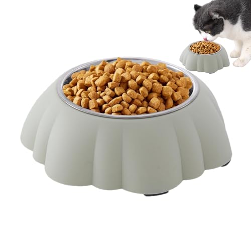 Pet Food and Water Feeder Bowls | Metal Cat Food Dishes | Stainless Steel Pet Bowls | Non-Slip Cat Food Bowls | Small Cat Food Bowls Safety-Minded Feeding for Kitten, Pets, Puppy, Ferret, Birds von Dgkdek