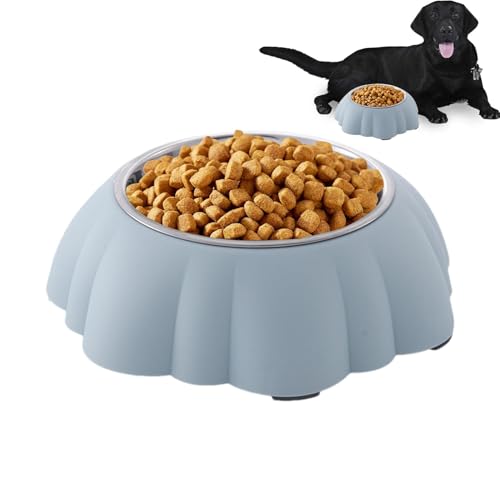 Pet Food and Water Feeder Bowls | Metal Cat Food Dishes | Stainless Steel Pet Bowls | Non-Slip Cat Food Bowls | Small Cat Food Bowls Safety-Minded Feeding for Kitten, Pets, Puppy, Ferret, Birds von Dgkdek