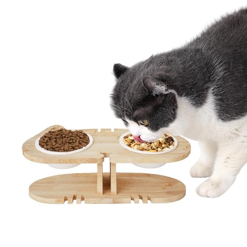 Raised Bowl for Kitten | Elevated Cat Bowl | Kitten Feeding Dish | Raised Pet Bowl | Adjustable Cat Bowl Grab Attention Stable and Secure for Home, Cage, Floor von Dgkdek