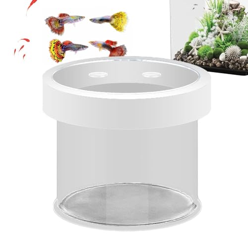 Schwimmende Züchterbox für Fische | Acryl-Fisch-Isolationsbox, Fischzucht-Isolationsbox, Fischtrenner für Aquarium, Aquarium-Inkubator für Babyfische, Garnelen, Clownfische von Dgkdek