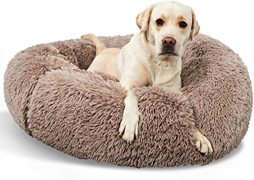 Donut Hundebett, weich, warm, Plüsch, beruhigendes Bett, Angstlinderung, flauschig, weich, kuschelig, 70 cm, mittelgroßes Hundebett, rutschfest und waschbar von Dhao