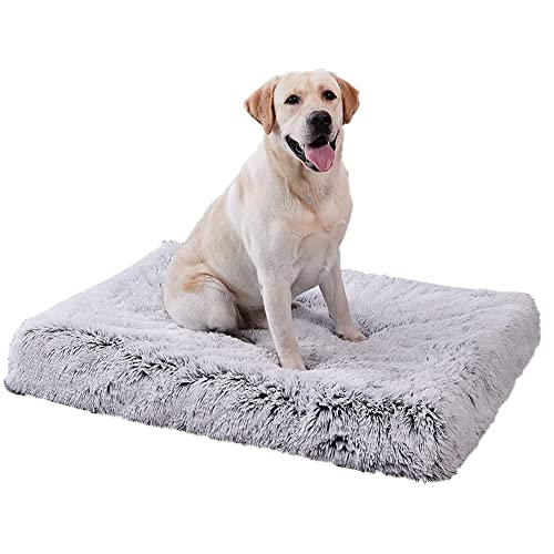 Orthopädisches Hundebett aus weichem Plüsch, Memory-Schaum, Kissen für kleine, mittelgroße und große Hunde/Katzen, Hundekäfig-Matte, abnehmbar, waschbar, rutschfest, 120 x 80 x 10 cm von Dhao