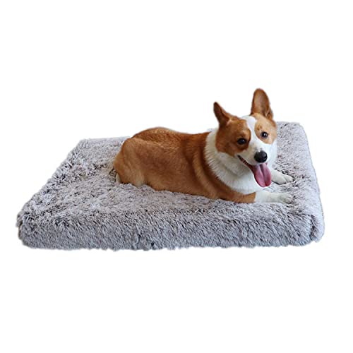 Premium Weiches Plüsch Hundebett Quadratisch Luxus Memory Foam Kissen Orthopädische Hundematratze Matte für Hundekäfig/Zwinger Abnehmbarer waschbarer Bezug und rutschfeste Unterseite S von Dhao