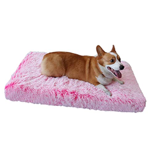 Premium Weiches Plüsch Hundebett Quadratisch Luxus Memory Foam Kissen Orthopädische Hundematratze Matte für Hundekäfig/Zwinger Abnehmbarer waschbarer Bezug und rutschfeste Unterseite S von Dhao