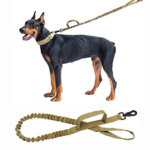 Hundeleine 1,5 m Trainingsleine für Hunde, Hundeleine mit weich gepolstertem Griff alle Hunde bis 50 kg verstellbar, robust und wetterfest, Coyote braun von Dhohoo
