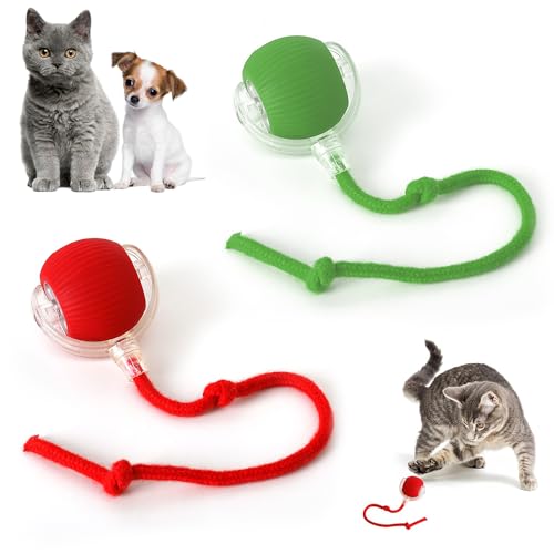 Dhqkqg Interaktives Katzenball Spielzeug, 2 Stück Interaktives Katzenspielzeug, Interaktiver Spielball mit Schwanz für Katzen, 360° Rolling Smart Ball mit USB Aufladbar, für Den Innenbereich von Dhqkqg