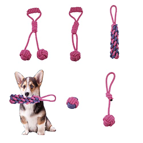 Diaryan Spielzeug,5 Stück Baumwoll Hundeseile Set Intelligenz Entwickeln Geeignet Kleine Hunde/Mittlere Verschiedene Hundebälle Welpenspielzeug ​Zahnpflege,aus Natürlicher Baumwolle,Dia-2,Rose red von Diaryan