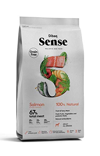 Dibaq Sense Grain Free - Lachsfutter für ausgewachsene Hunde - 100% natürlich und getreidefrei - 12 kg von Dibaq