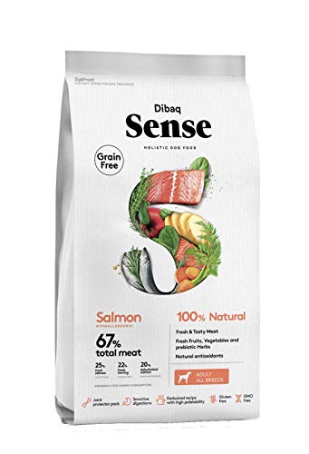 Dibaq Sense Grain Free - Lachsfutter für ausgewachsene Hunde - 100% natürlich und getreidefrei - 2 kg von Dibaq