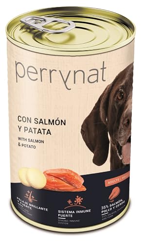 Perrynat Nassfutter für Hunde, Lachs und Kartoffeln, 12 Stück x 400 g von Dibaq