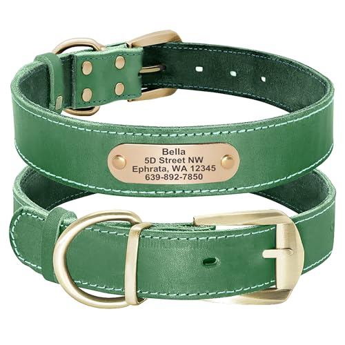 Didog Hundehalsband aus echtem Leder mit graviertem Namensschild, personalisierbar, weiches Leder, Hundehalsband mit individuellem ID-Etikett, braun/grün/rot für mittelgroße Hunde von Didog