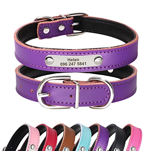 Didog Hundehalsband, Leder, gepolstert, mit Namensschild, für Katzen und kleine mittelgroße Hunde, M:Neck 12.5-15.5", violett von Didog