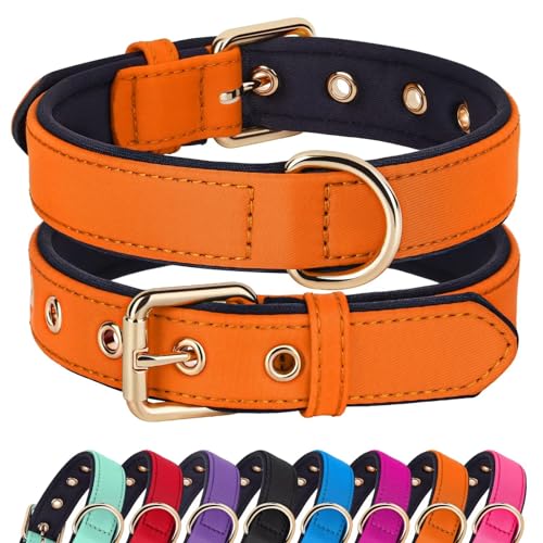 Didog weich gepolstertes Hundehalsband für kleine Hunde, leichtes und atmungsaktives Hundehalsband mit Metallschnalle, wasserdichtes Hundehalsband für Welpen, Orange, S von Didog