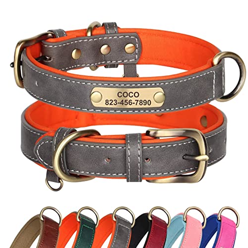 Didog Hundehalsband aus Leder, personalisierbar für kleine, mittelgroße und große Hunde, weich gepolstert, strapazierfähig, mit graviertem Namensschild, Grau, XS von Didog