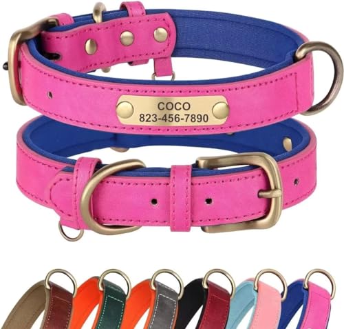 Didog Hundehalsband aus Leder, personalisierbar für kleine, mittelgroße und große Hunde, weich gepolstert, strapazierfähig, mit graviertem Namensschild, Hot Pink, L von Didog