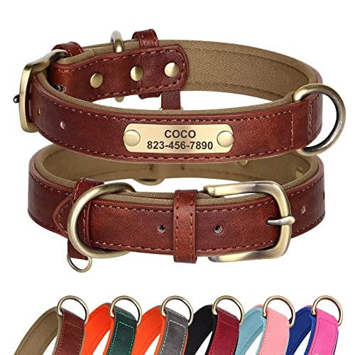 Didog Hundehalsband aus Leder, personalisierbar für kleine, mittelgroße und große Hunde, weich gepolstert, strapazierfähig, mit graviertem Namensschild, Braun, Größe XS von Didog