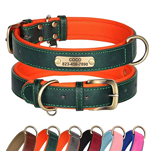 Didog Hundehalsband aus Leder, personalisierbar für kleine, mittelgroße und große Hunde, weich gepolstert, strapazierfähig, mit graviertem Namensschild, Grün, XL von Didog