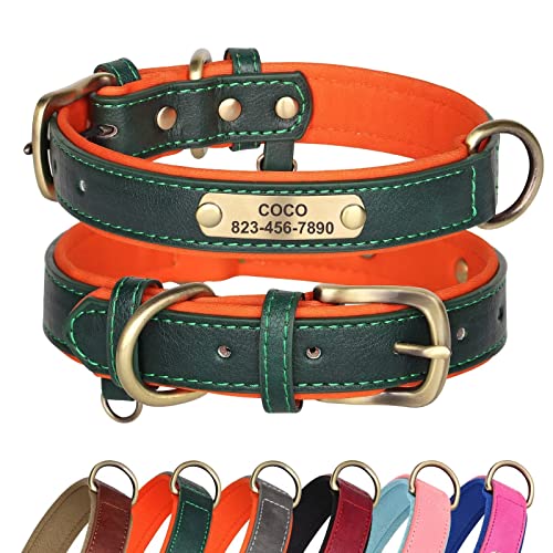 Didog Hundehalsband aus Leder, personalisierbar für kleine, mittelgroße und große Hunde, weich gepolstert, strapazierfähig, mit graviertem Namensschild, Grün, XS von Didog